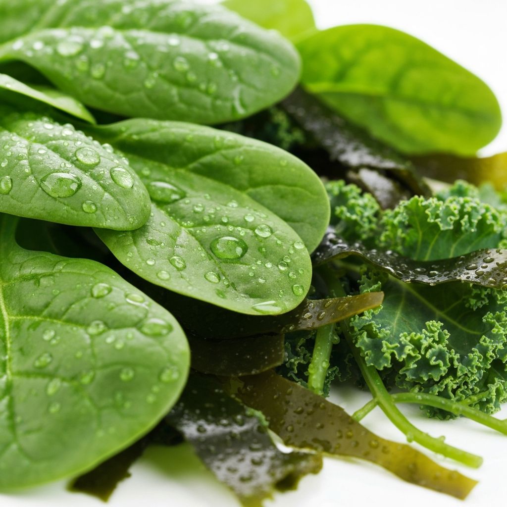 Dunkelgrünes Blattgemüse mit Mineralstoffen